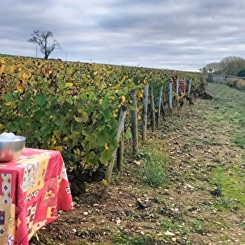 MISSION VIGNERON l'âme d'un terroir, le défi entre vos mains - SANTENAY