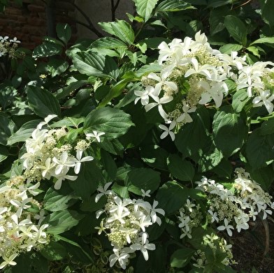 Les jardins des Soussilanges