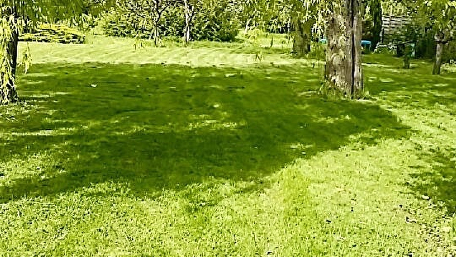 Green Guest House
