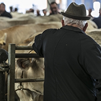 SAINT-CHRISTOPHE-EN-BRIONNAIS - SAINT-CHRISTOPHE-EN-BRIONNAIS