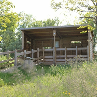 Randonnées à Devay / Circuit Les Appelettes