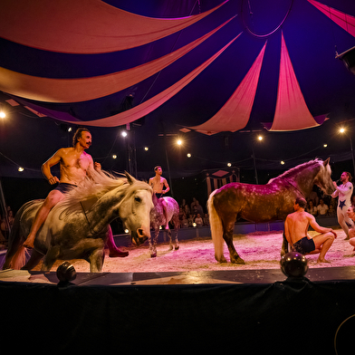 Spectacle équestre de l'été  'D'or et de Sang'