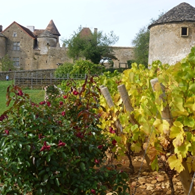 Château Pontus de Tyard