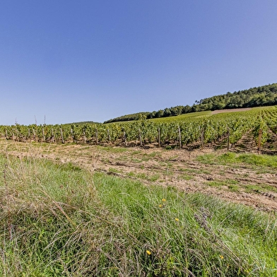 l’Echappée Bourguignonne