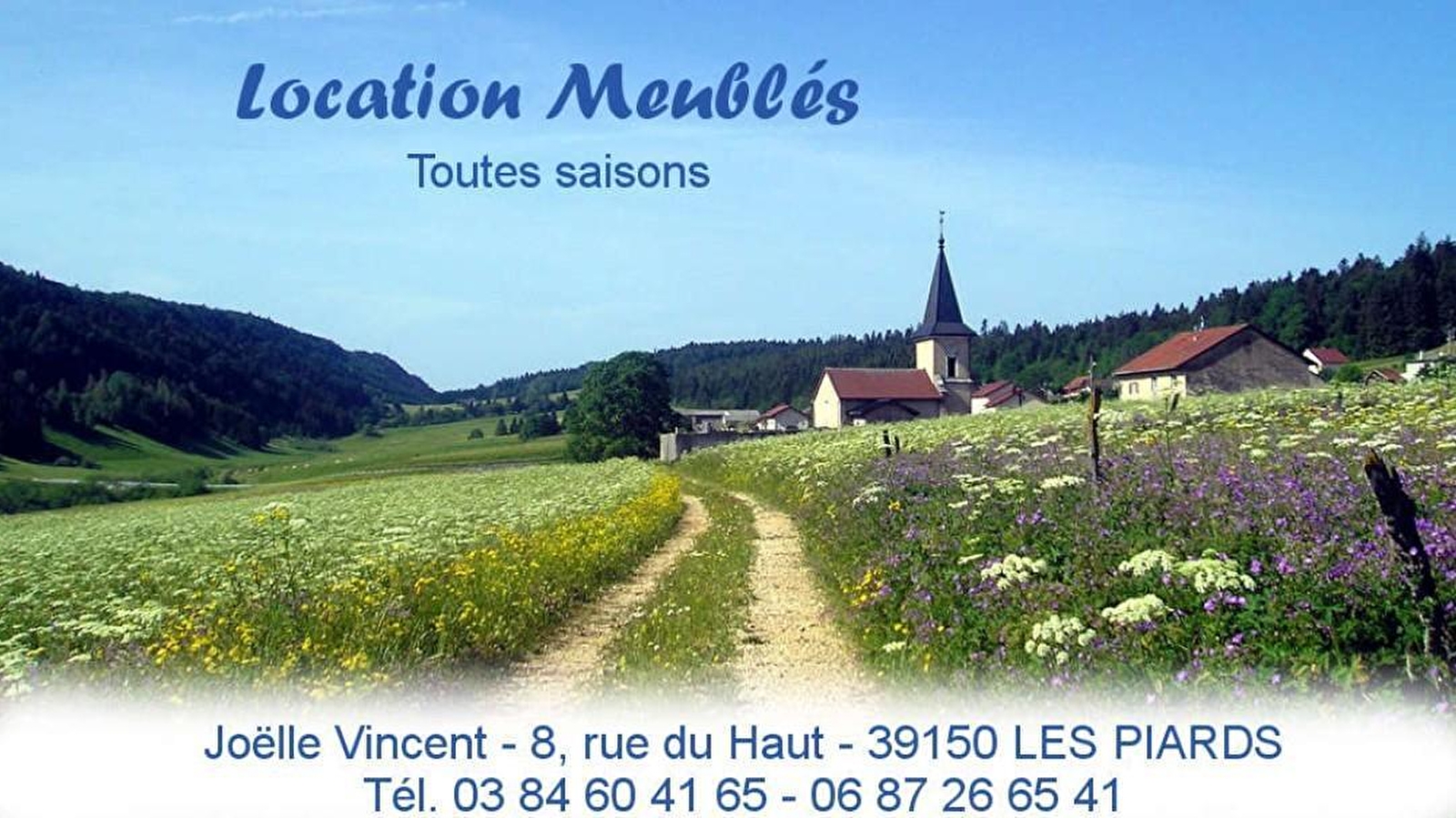 Les Forcythias