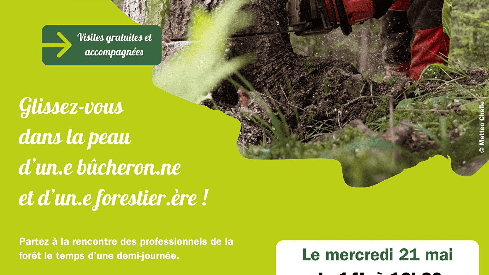 Vis ma vie de bûcheron