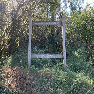 Randonnée - La Combe Noire
