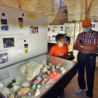 Musée des sciences de la terre Pierre Cretin