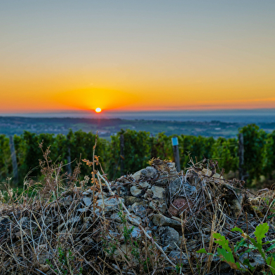 La Roche de Vergisson