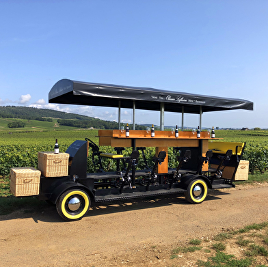 Olivier Leflaive - Wine Bike Experience 