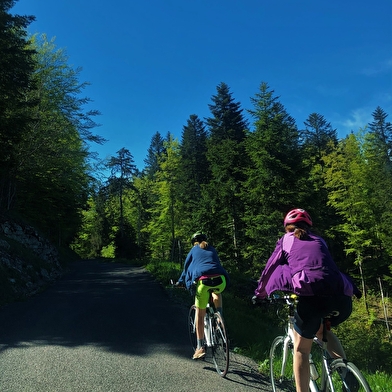 Circuit vélo : le Plateau de Retord entre combes et cols