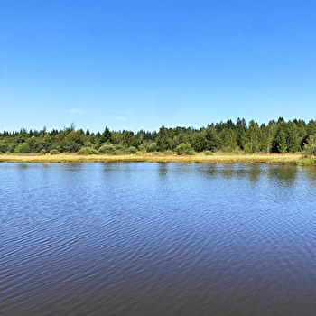 Étang Fontaine Carré - MIGNOVILLARD