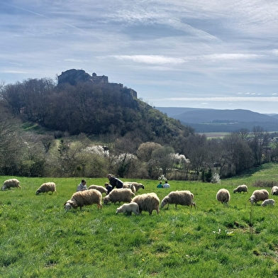 Découverte d'une bergerie