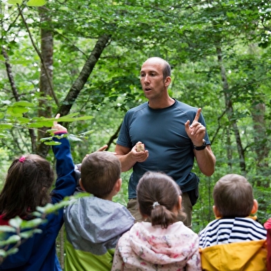 Découvrez le Parc national de forêts