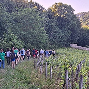 Journées Européennes du Patrimoine dans les Climats - Patrimoine mondial - BEAUNE