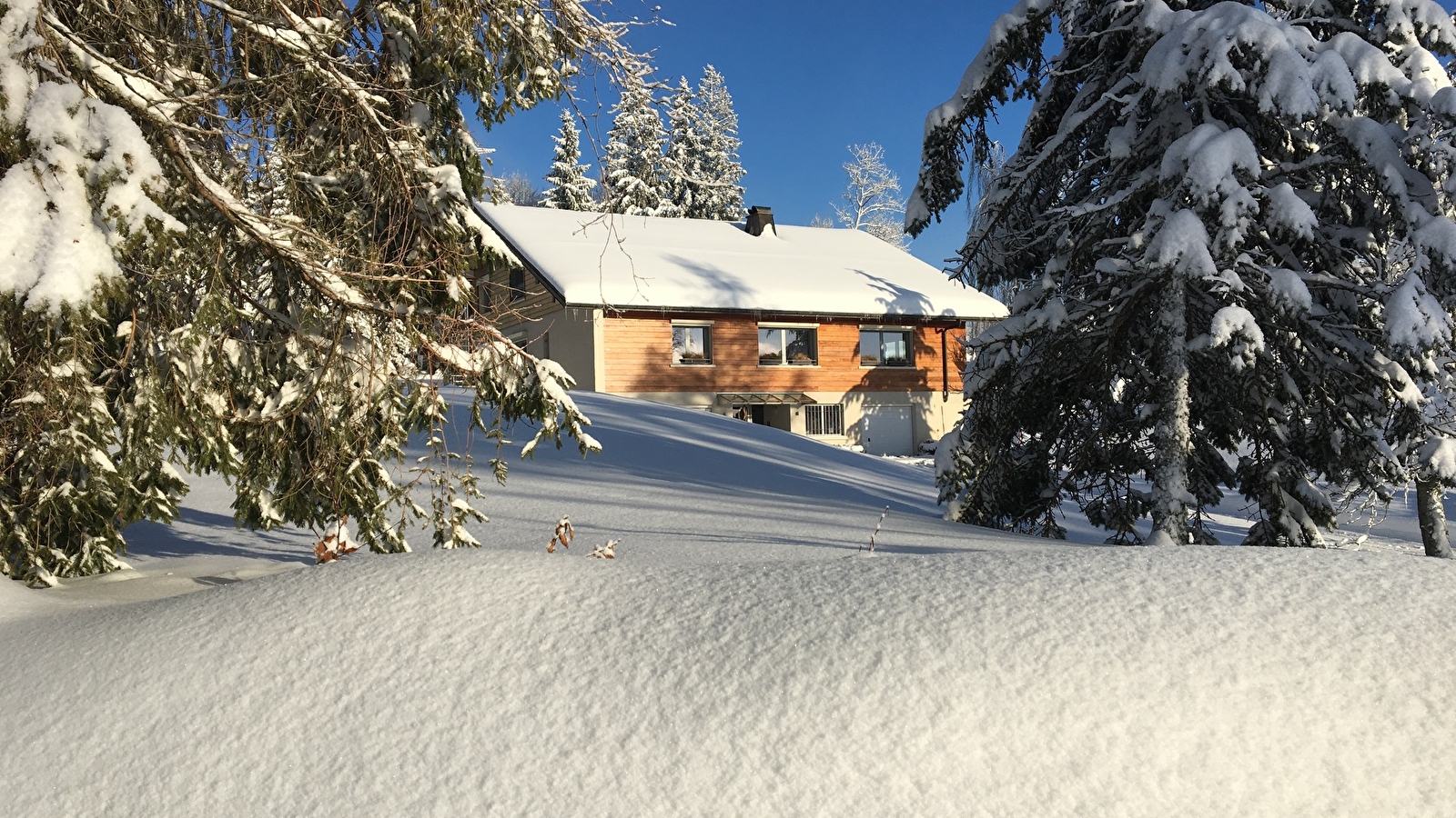 Le Chalet des Noisettes, appt la Dôle