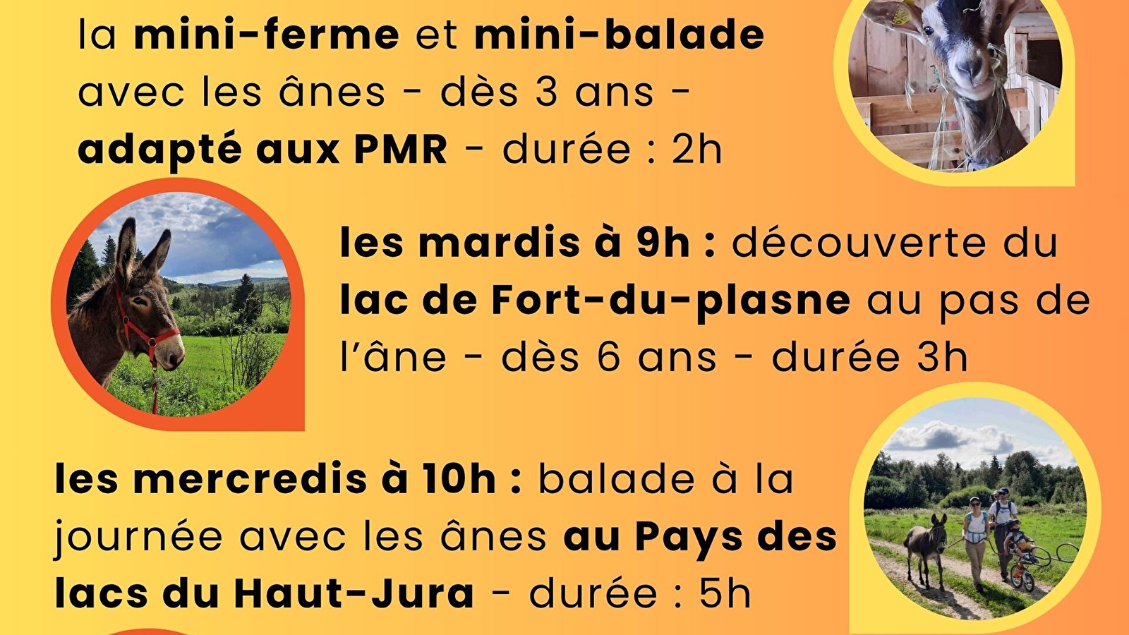 Allons avec l'âne au chalet du coin d'Aval - la Flânerie d' Audrey