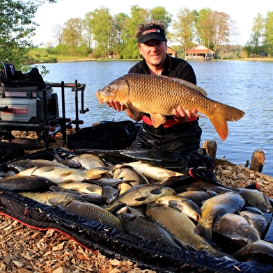 Pêche en etang aux guidons