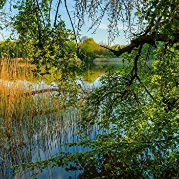 Le sentier Jacquot - SERGENAUX