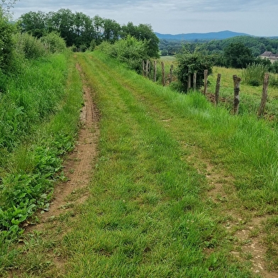 Circuit VTTAE n°9 (rouge) Revers du Revermont