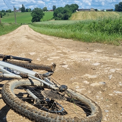Circuit VTT-VTC n°28 (rouge) - Grand tour de Mépillat - Terres fortes de Cormoz