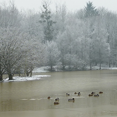 Etang de Foucherans