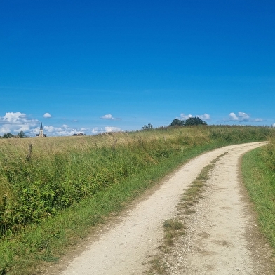 Circuit VTT-VTC n°13 (rouge) - Les chemins de St Jean