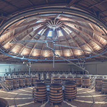 Soirée thématique : Vignes et Vins - BEAUNE