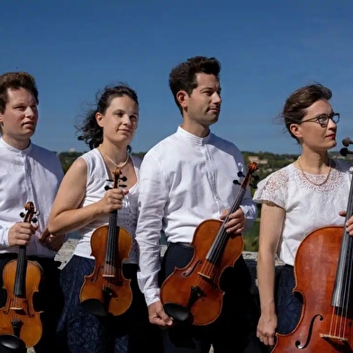 Quatuors de Beethoven , quatuor Girard