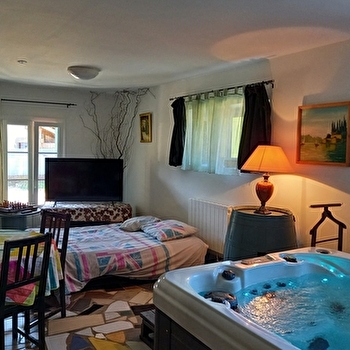 Gîte Jacuzzi de la source - Domaine de Fontenelay - GEZIER-ET-FONTENELAY