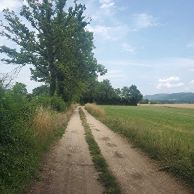 Randonnée - Le Plateau de la Belloire
