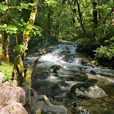 Sentier 'au fil de l'eau' (version longue)