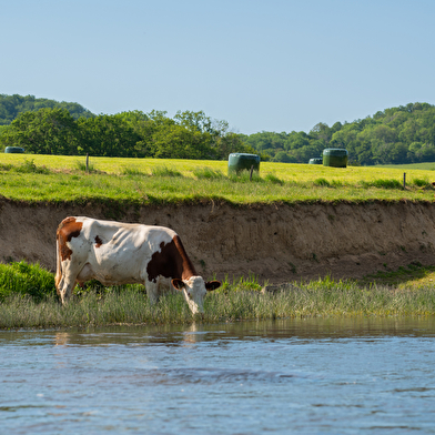 Le parcours sauvage 