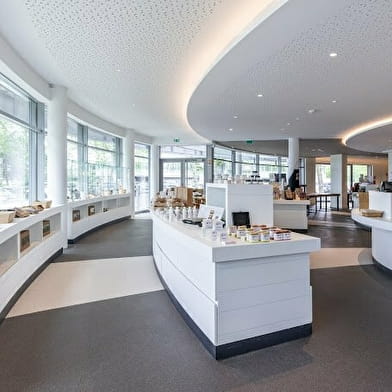 Visite découverte de la Cité des Climats et des Vins de Bourgogne à Mâcon