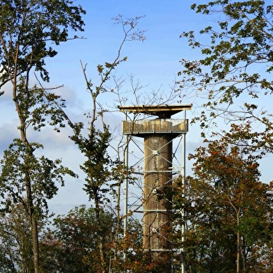 La Tour des Bois