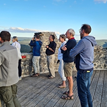 Visites guidées dominicales du Château de Mâlain - MALAIN