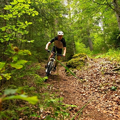 Bike-Park du Fort des Rousses