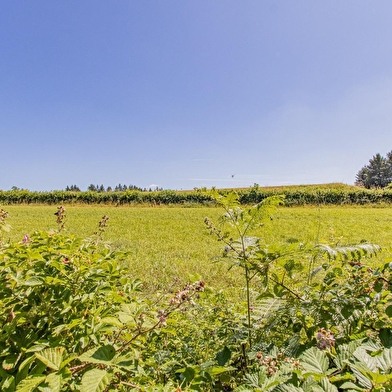 Un Jour à la Campagne