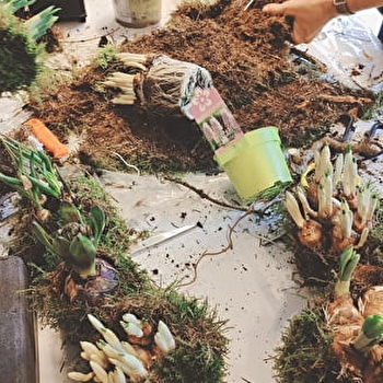 Cours d'art floral - SAINT-JEAN-DE-LOSNE