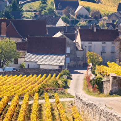 À la découverte des vignobles et des canaux de Bourgogne