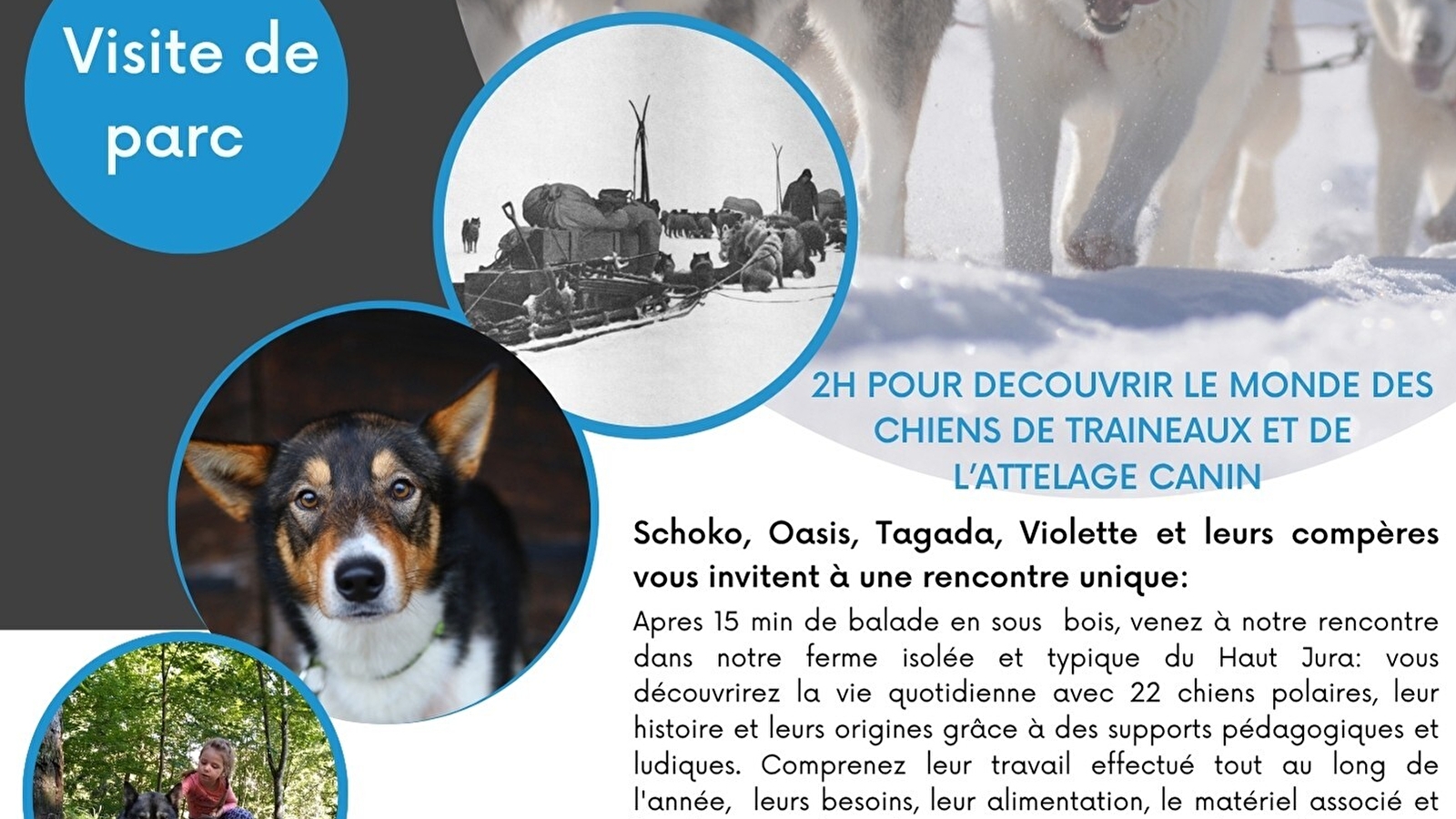 Visite de parc et immersion avec les chiens de traineaux