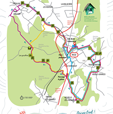 D'un rail à l'autre - 11km