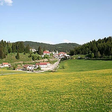 Balade en roulotte dans le Haut-Jura