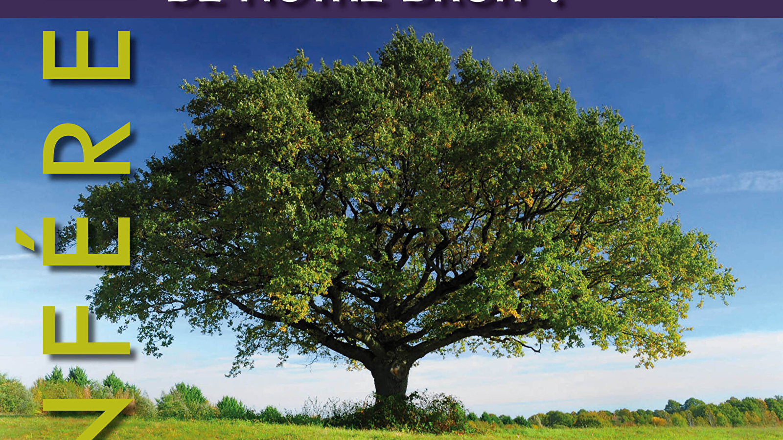 Conférence - Les arbres, les oubliés du droit !