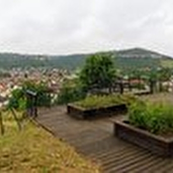 Verger Conservatoire - ORNANS