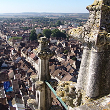 Visite guidée de la Tour Sud de la Cathédrale de Sens - SENS