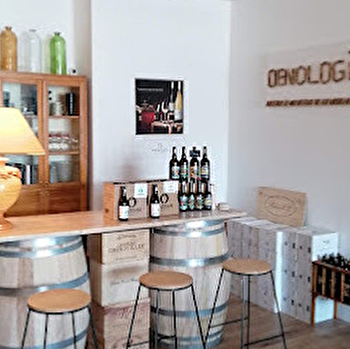 Dégustation commentée de vins de l'Yonne - TOUCY