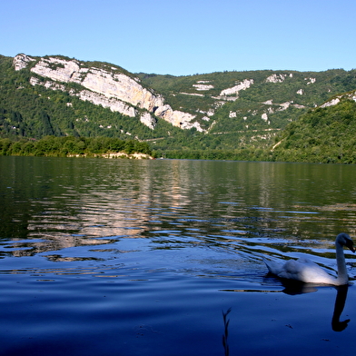 Camping municipal sous le moulin 