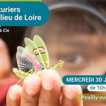 Les Aventuriers du Milieu de Loire : journée nature pour les 6-12 ans, spéciale 'Insectes & Cie' - POUILLY-SUR-LOIRE