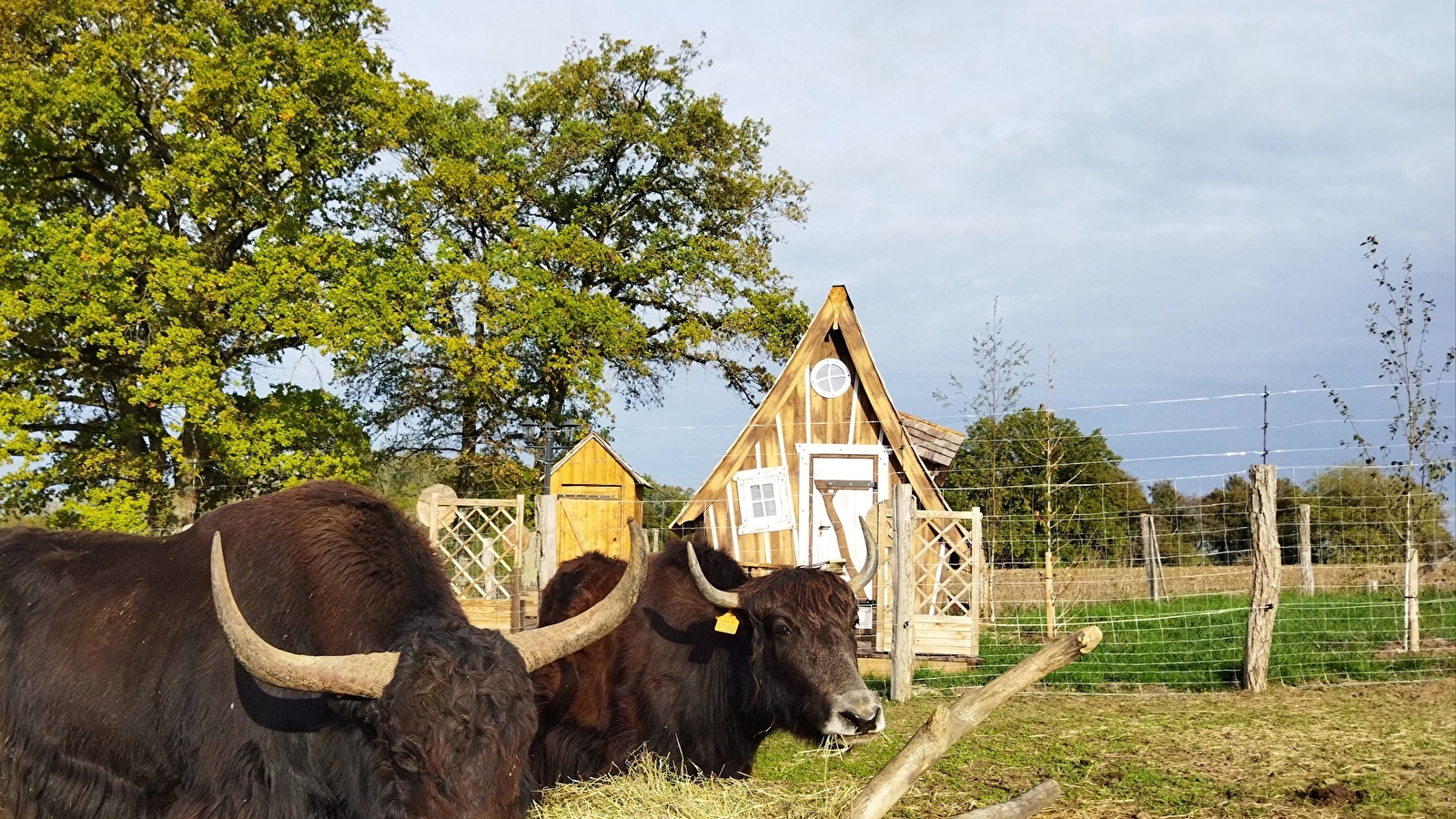 Cabane nuitée insolite : chambre féérique